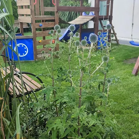 Pozytywki Feriehus Władysławowo