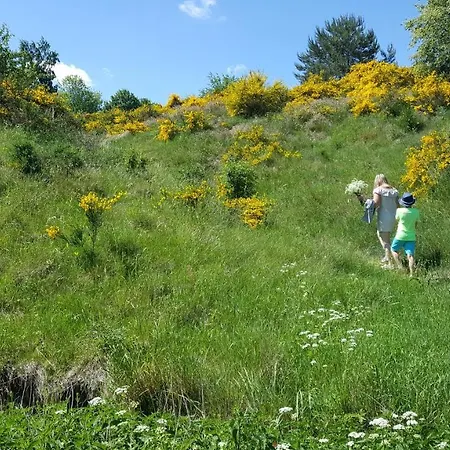 Pozytywki * Władysławowo