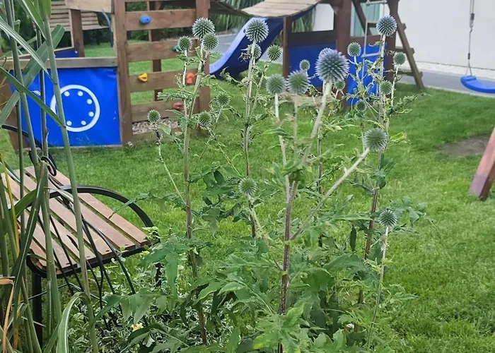 Pozytywki Ferienhaus Władysławowo