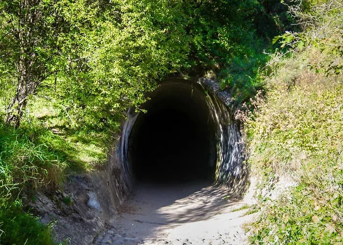 Pozytywki Władysławowo