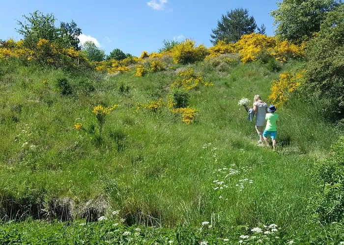 Pozytywki * Władysławowo